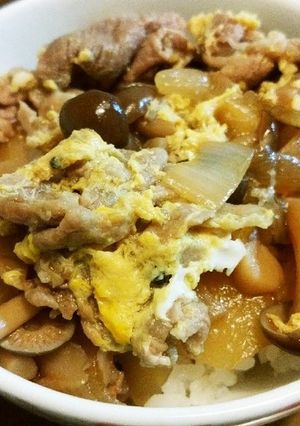 豚肉！豚丼✨-レシピのメイン写真