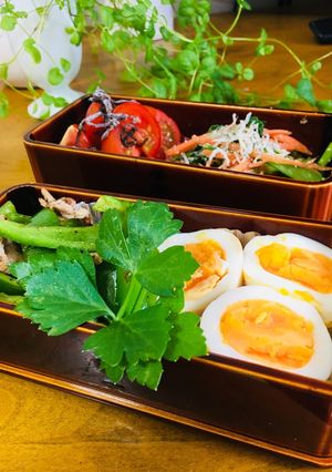小松菜のナムルの春慶お弁当-レシピのメイン写真
