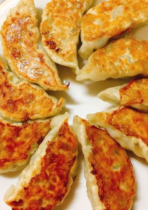 にんにくなし餃子-レシピのメイン写真