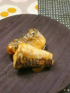 ポリ袋湯煎で介護食♥鯖の味噌煮-レシピのメイン写真