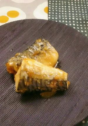 ポリ袋湯煎で介護食♥鯖の味噌煮-レシピのメイン写真