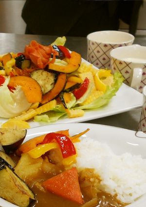 【エコレシピ】夏野菜ゴロゴロカレー-レシピのメイン写真