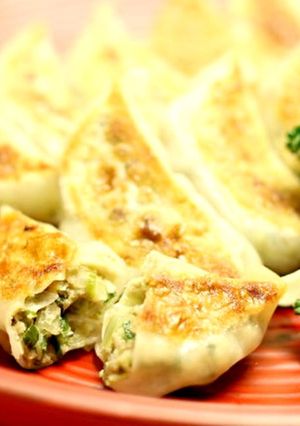 簡単レシピ。いわしつみれの餃子-レシピのメイン写真