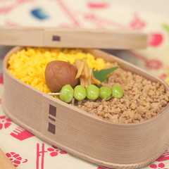 รูปของ 鶏そぼろ弁当#JKなつ弁ラストシーズン