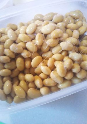 一発で成功！蒸し大豆で作る自家製納豆-レシピのメイン写真