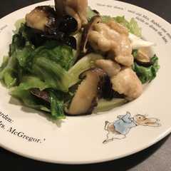 鶏肉野菜ご飯-レシピのメイン写真