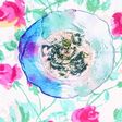 ∞ワカメ/海草/海草サラダ/ひじき∞