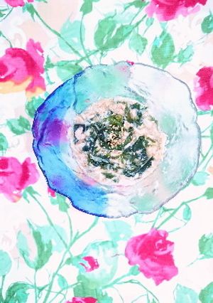 ∞ワカメ/海草/海草サラダ/ひじき∞-レシピのメイン写真