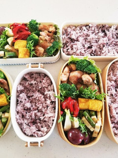 女子高校生、男子学生、会社員の私弁当⑬-レシピのメイン写真