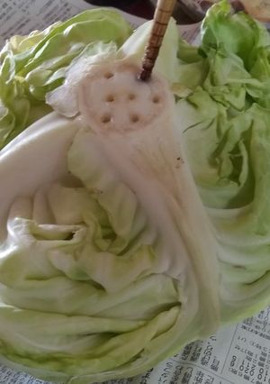 キャベツは箸で長持ち保存(｡ •ᴗ•。)-レシピのメイン写真