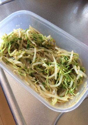 もやし&豆苗ナムル-レシピのメイン写真