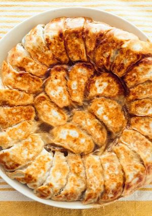羽根つき餃子-レシピのメイン写真