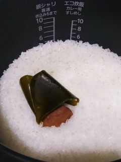 ♡しょっぱい梅干し・昆布・酢だけの酢飯♡-レシピのメイン写真