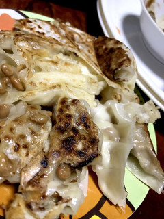 簡単おつまみに!納豆ぎょうざ-レシピのメイン写真