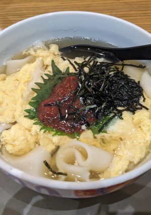 【風邪をひいたとき】梅とじきしめん-レシピのメイン写真