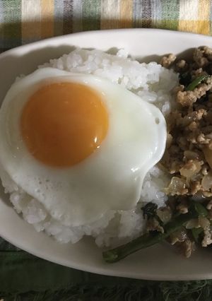 ハウス食品ガパオの素でガパオライス♪-レシピのメイン写真