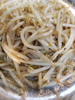 リーのもやし炒め-レシピのメイン写真