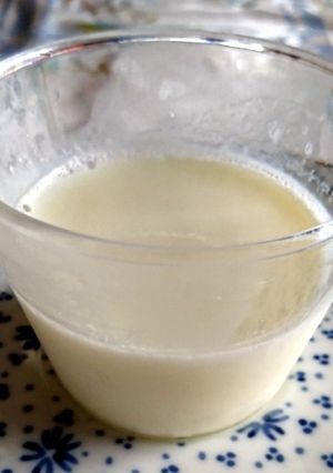 板ゼラチンで！ぷるぷる♪牛乳プリン☆-レシピのメイン写真