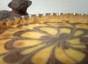 チョコの花咲く✿チーズケーキタルト-レシピのメイン写真