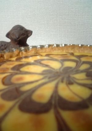 チョコの花咲く✿チーズケーキタルト-レシピのメイン写真