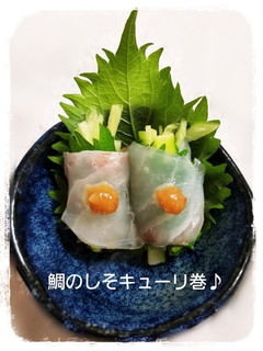 真鯛のしそきゅうり巻き♪-レシピのメイン写真