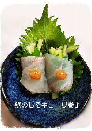 真鯛のしそきゅうり巻き♪-レシピのメイン写真