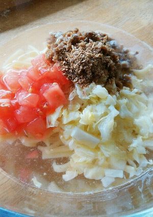 犬ご飯　冷やし中華-レシピのメイン写真