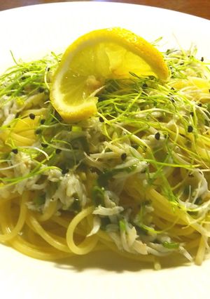 しらすとコラトゥーラ（魚醤）のパスタ　-レシピのメイン写真
