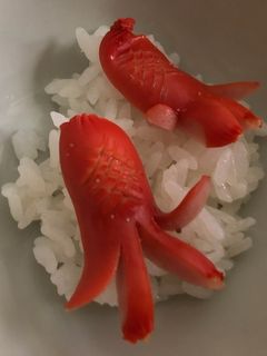 タコさんウインナー-レシピのメイン写真