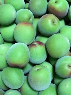 梅酒2018-レシピのメイン写真