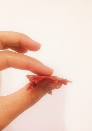FPで!薄切り肉!海外在住者必見★-レシピのメイン写真