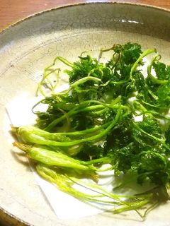 パクチーの素揚げ-レシピのメイン写真