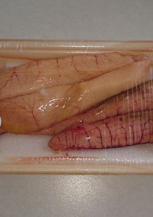 サワラ真子・ハマチ真子（卵）の塩焼き-レシピのメイン写真