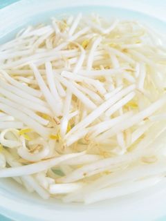 もやしの保存方法-レシピのメイン写真