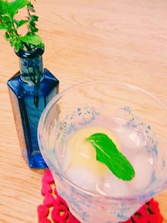 爽やかレモンライムジュース-レシピのメイン写真
