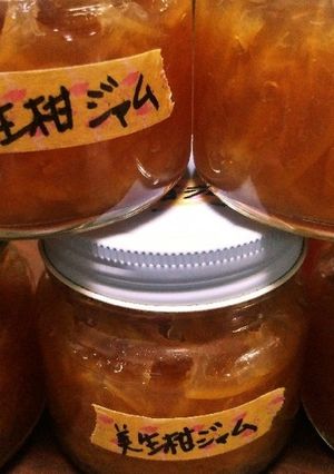 認知症予防ジャム作り♪美生柑（河内晩柑）-レシピのメイン写真