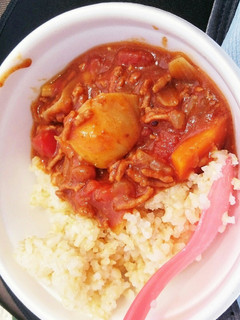 外でも家でも簡単☆トマトカレーシチュー-レシピのメイン写真