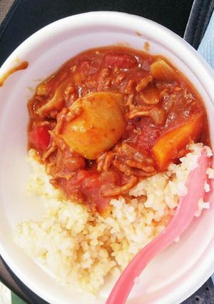 外でも家でも簡単☆トマトカレーシチュー-レシピのメイン写真