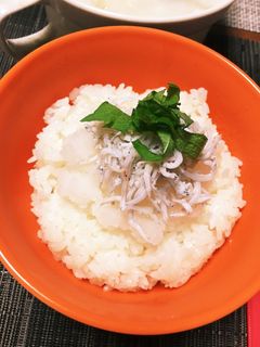 しらすと大根おろしのさっぱり丼☆-レシピのメイン写真