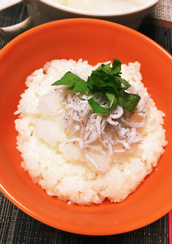 しらすと大根おろしのさっぱり丼☆-レシピのメイン写真