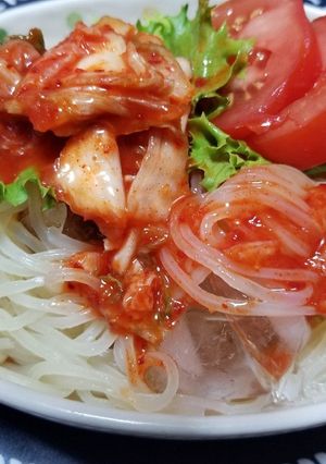 菊水盛岡冷麺(冷やし中華(ˊᗜˋ*)-レシピのメイン写真