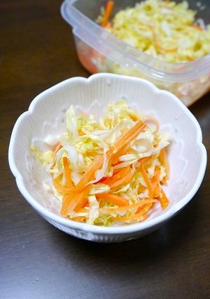 簡単！キャベツの浅漬け(新生姜漬け汁)-レシピのメイン写真