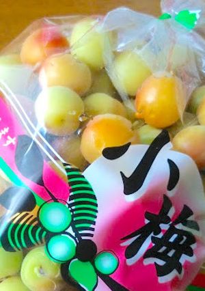 〓レンジで梅仕事＊小梅で白梅ペースト-レシピのメイン写真