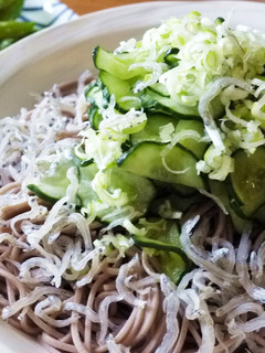 【簡単麺料理】柚子香るさっぱり蕎麦-レシピのメイン写真