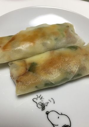 大葉とチーズと竹輪の春巻き-レシピのメイン写真