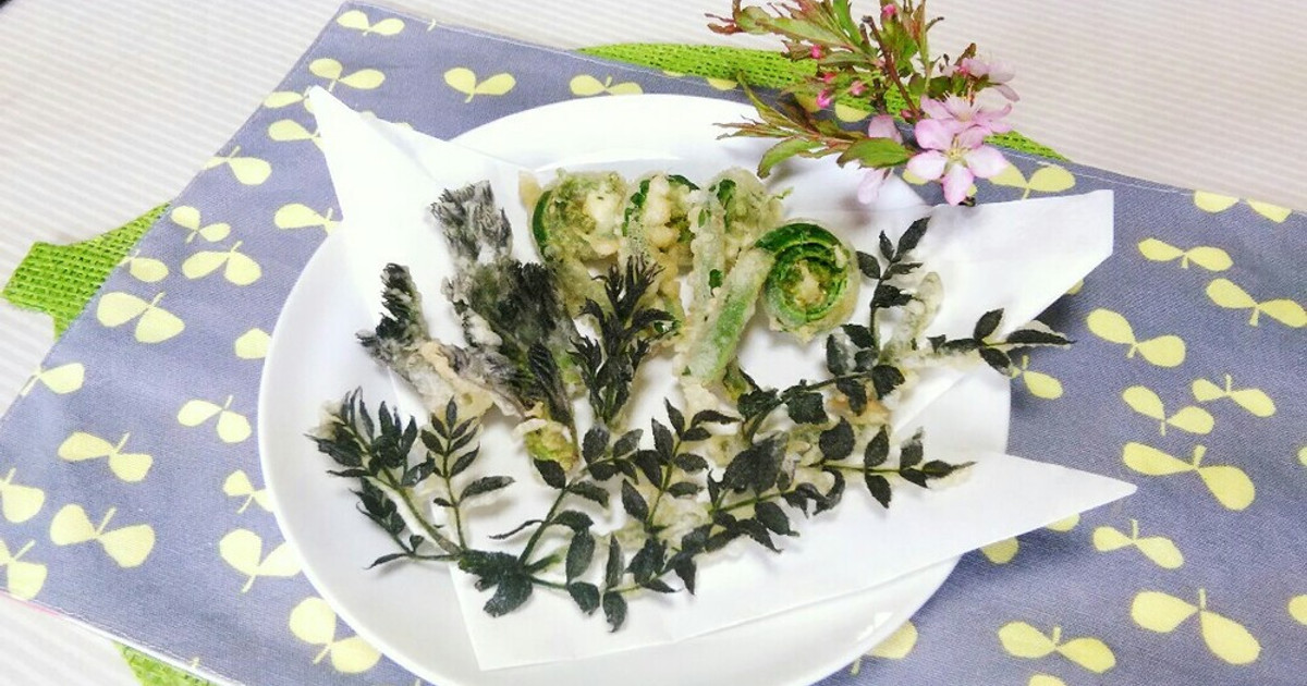 【お問い合わせページ】タラの芽　100g強【おまけで】こごみ　かんぞう　どれか♡ お問い合わせページ】タラの芽 100g強【おまけで】こごみ かん