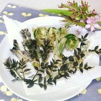 基本からアレンジまで！思わずつくりたくなる「こごみ たらの芽」の