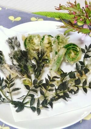 山菜☆コゴミとタラの芽の天麩羅☆-レシピのメイン写真