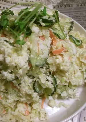 【糖質制限】野菜たっぷり～♡おからサラダ-レシピのメイン写真