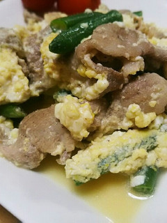 いんげんと豚肉の簡単豆腐チャンプル-レシピのメイン写真